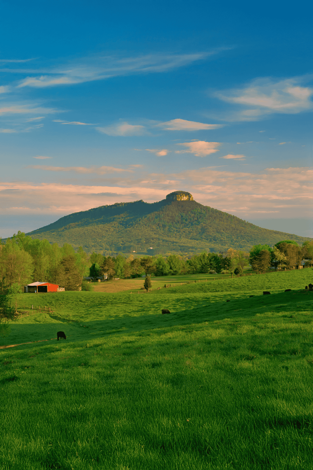Vast green landscape with mountain and sky, scenic rural view for outdoor adventures.
