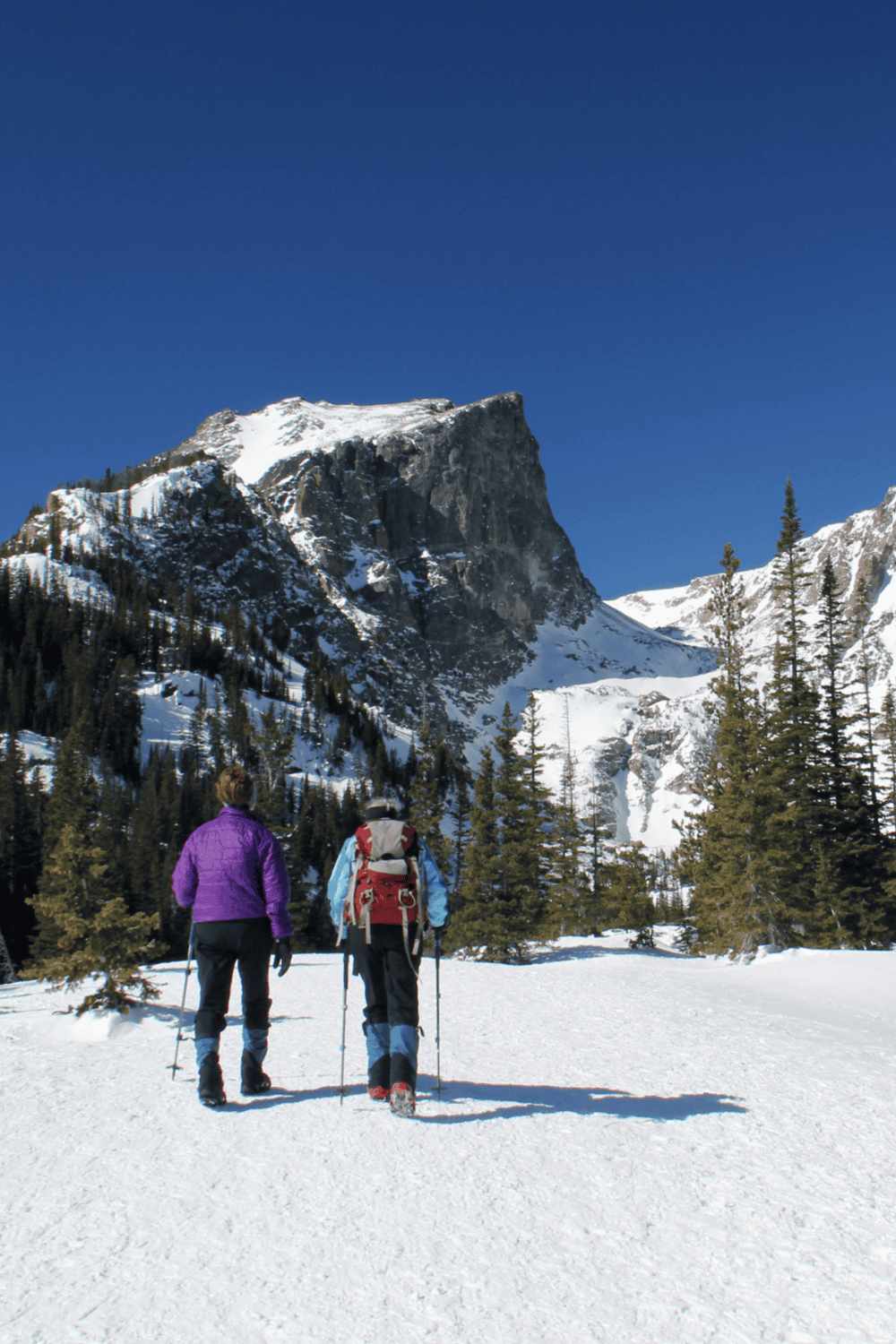 Snowy mountain adventure with hikers in nature, exploring trails and scenic views.