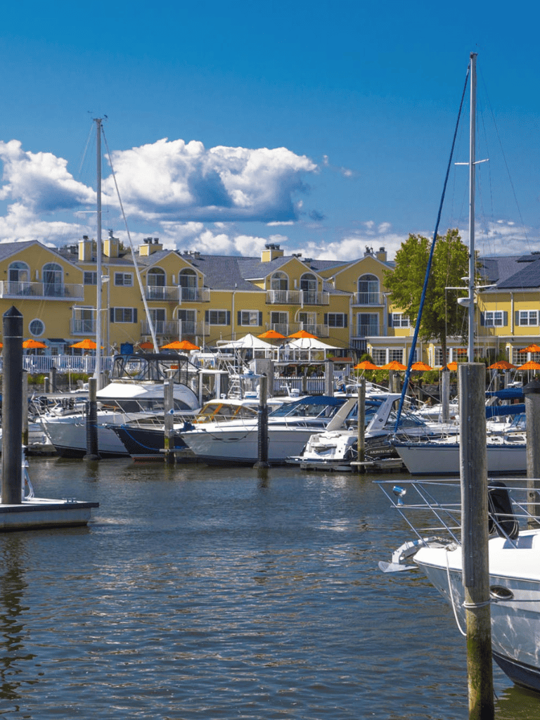 Colorful marina with boats docked near yellow waterfront condos under blue sky, sunny day.