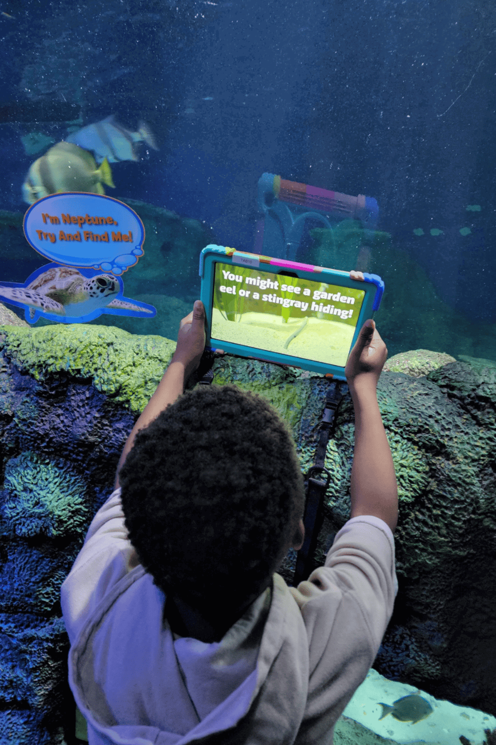 Colorful aquarium exhibit featuring interactive digital discovery for children.