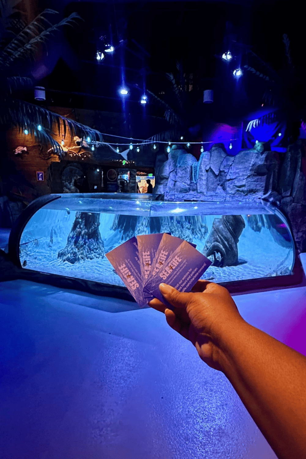 1. Enclosed interactive sea life exhibit with shark-themed decor and vibrant lighting.