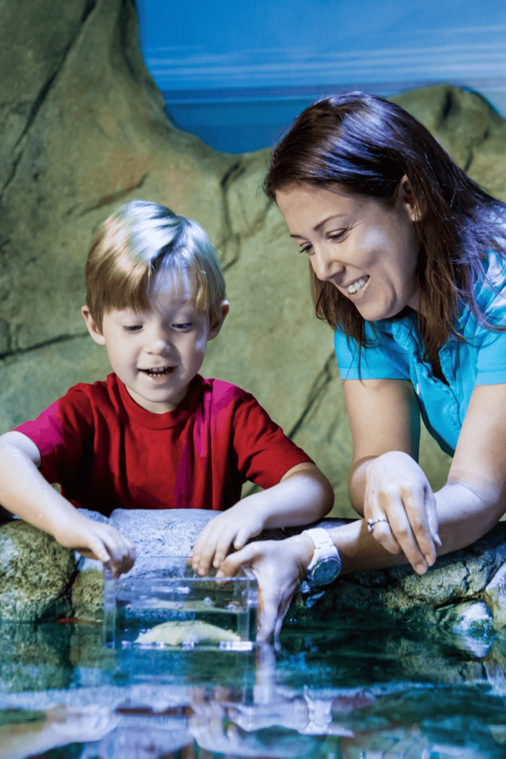 Learning about marine life at the aquarium with a caregiver, educational family activity, interactive sea creature exhibit.