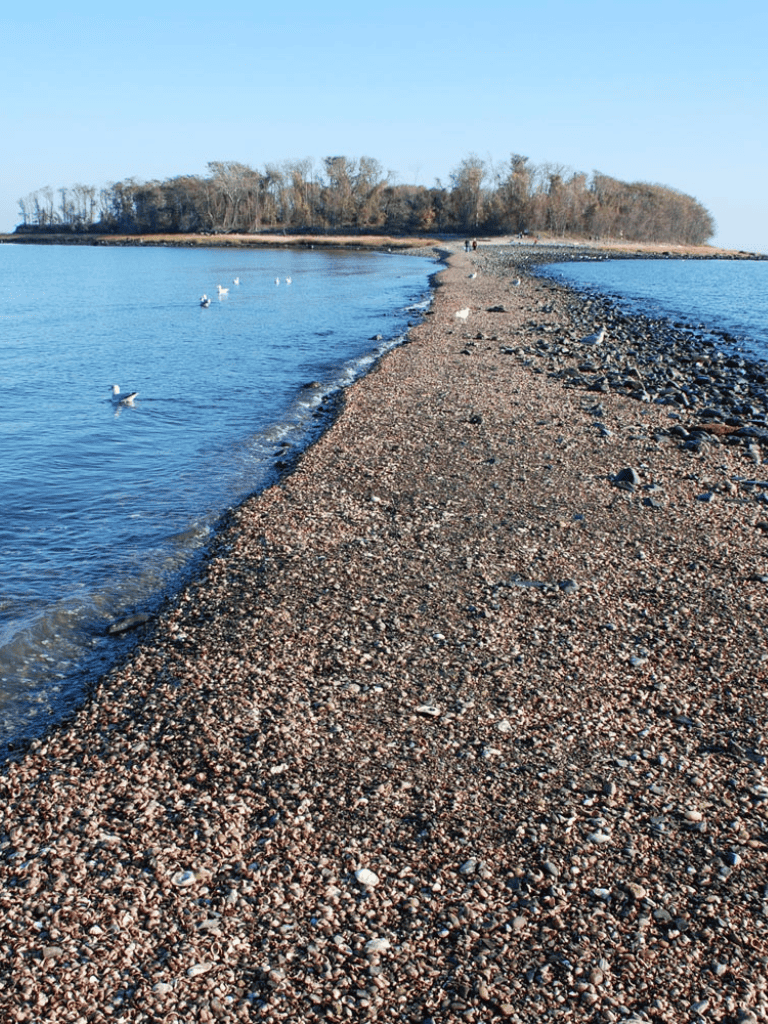 Secluded pebble beach with clear blue water and distant trees, perfect for relaxing seaside walks.
