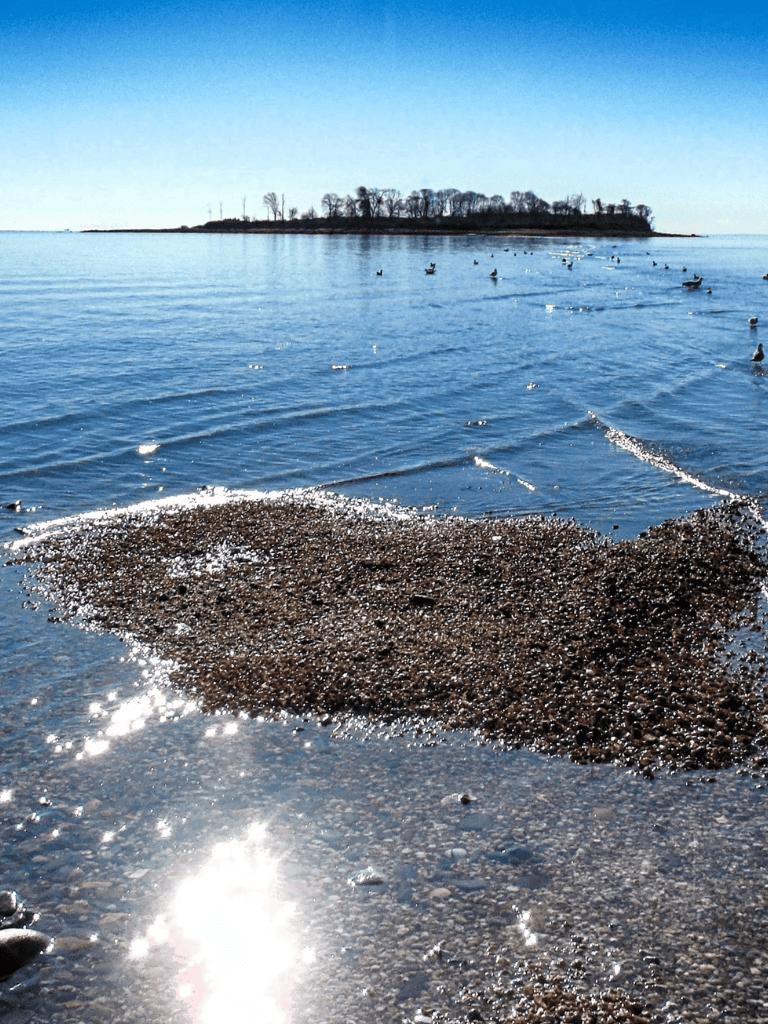 Serene ocean view with a rocky shoreline and distant island under clear blue sky.