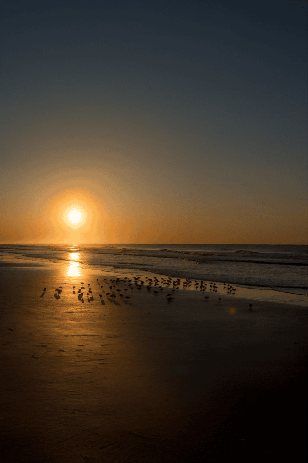 Serene sunset at the beach with birds along the shoreline, enhancing travel and relaxation SEO keywords.
