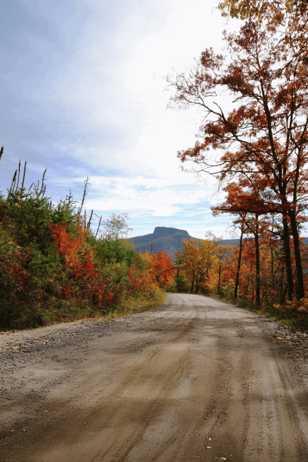 A scenic dirt road winding through vibrant autumn forest with distant mountain in the background.