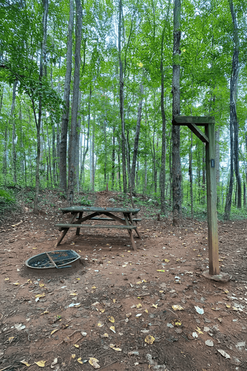 Tribal fire pit and picnic table in wooded area with trail and fire ring for outdoor camping.