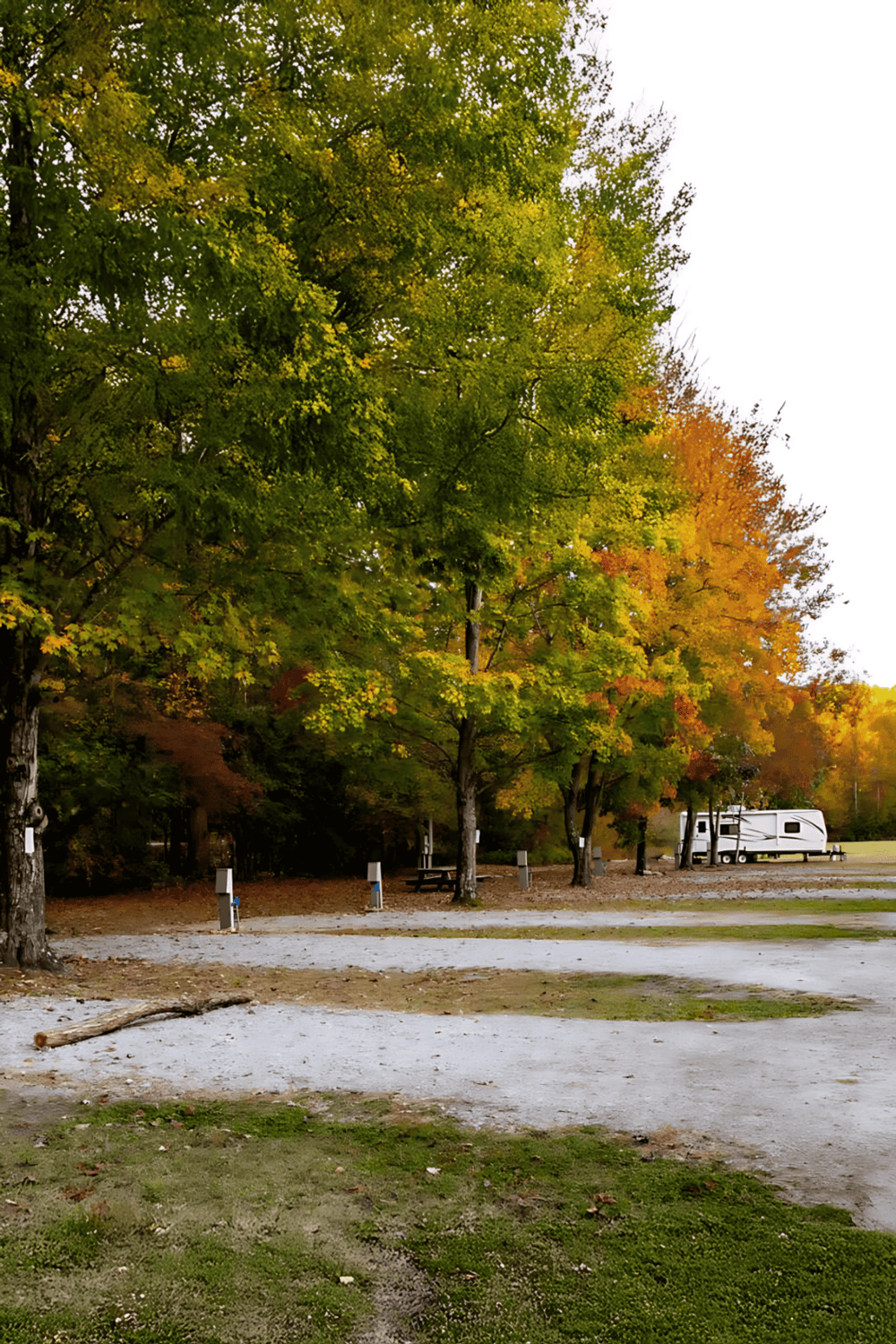 Sunny RV camping site surrounded by colorful fall trees in a scenic park.
