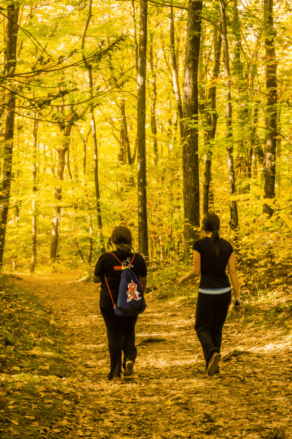 Exploring nature, forest trail, hiking, outdoor adventure, autumn foliage, QuestForDirections.