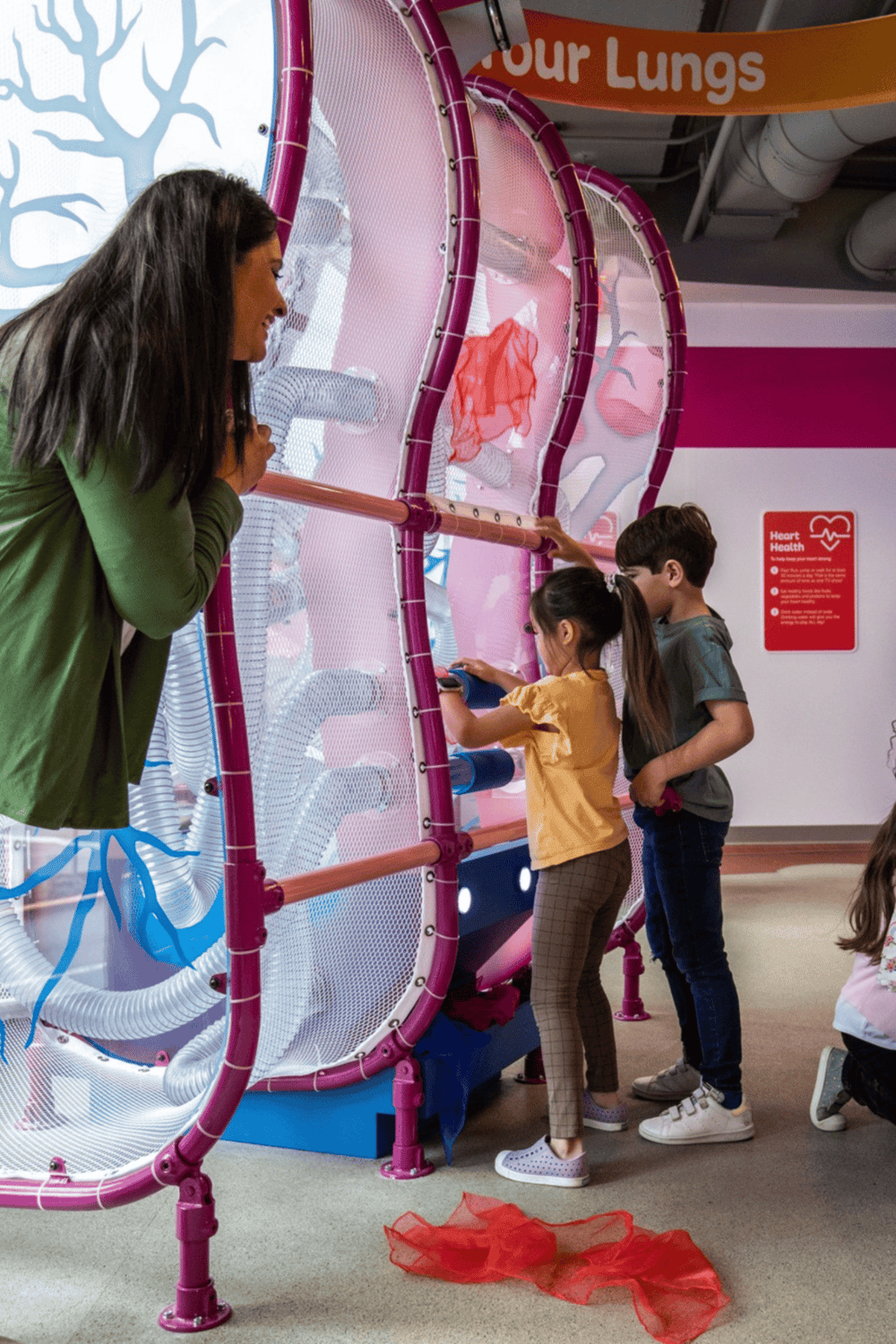 Interactive lung exhibit at children's science museum for respiratory health education.