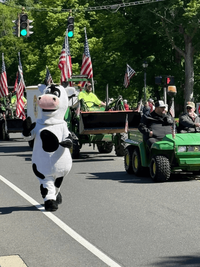 Green parade tractors with American flags, person in cow mascot costume walking in parade.