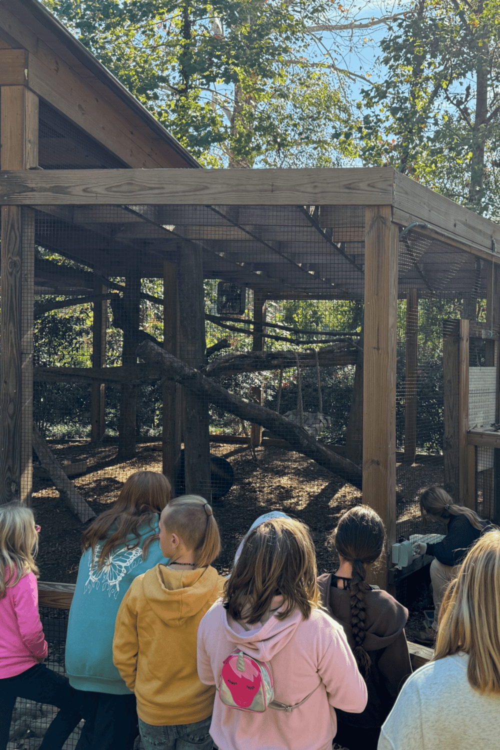 Children observing animals at a zoo exhibit, showcasing educational and family-friendly outdoor activities.