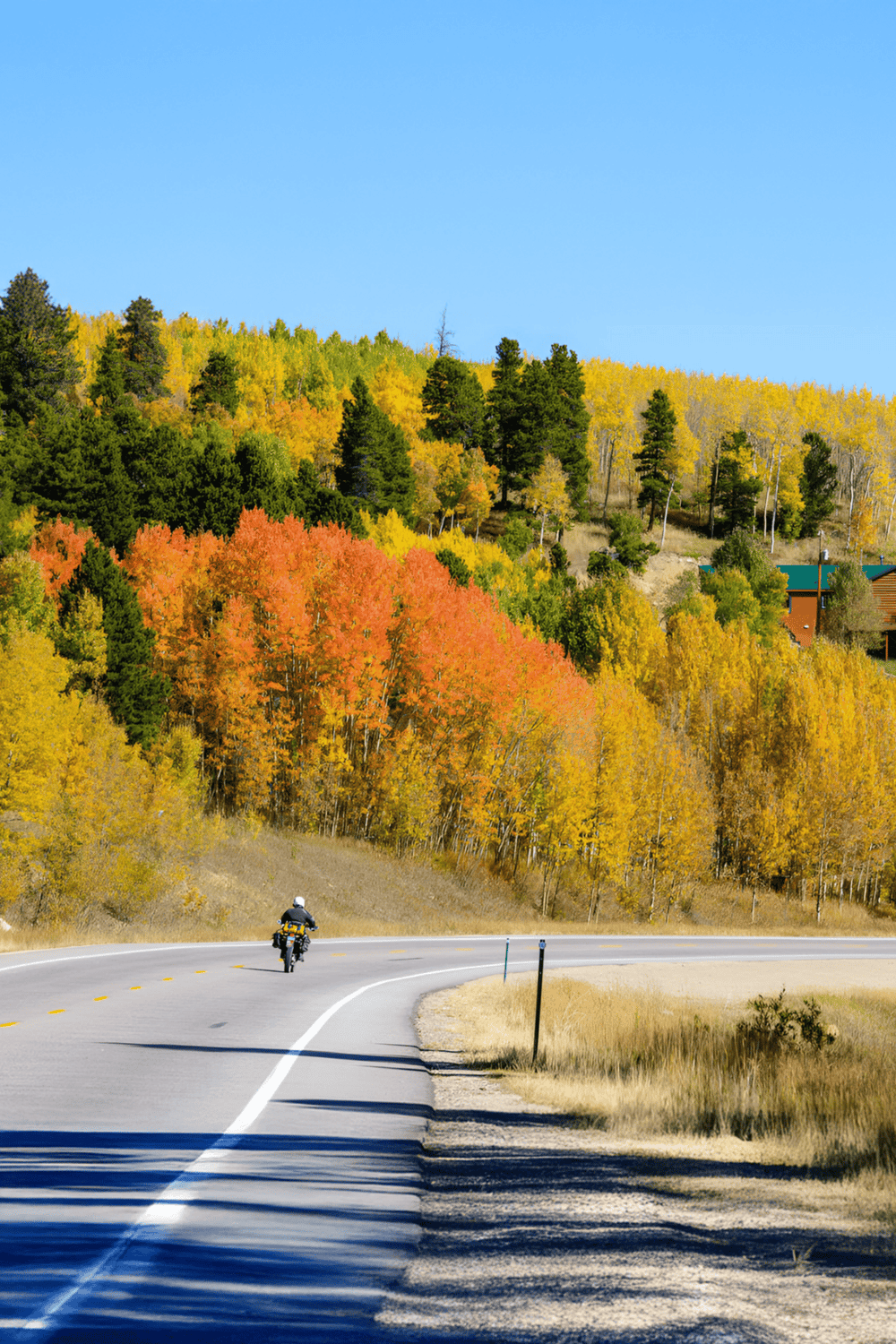 Vibrant fall foliage on winding mountain road with motorcyclist, scenic outdoor adventure.