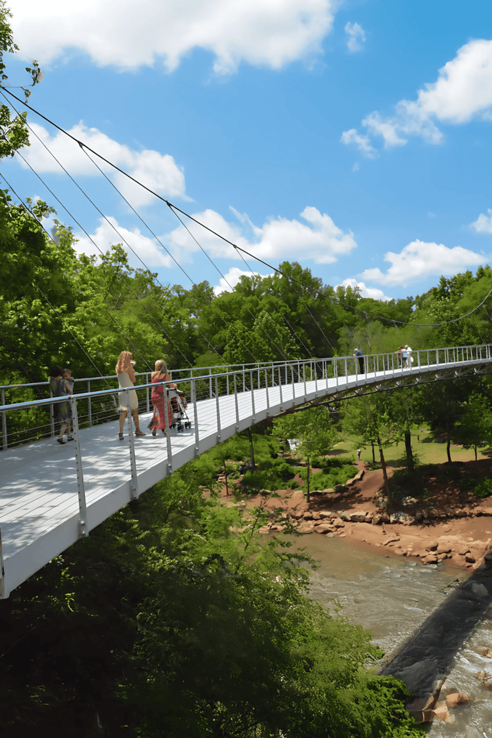 Vibrant park scene with a modern suspension bridge, lush greenery, and blue sky, perfect for outdoor adventure and nature exploration.