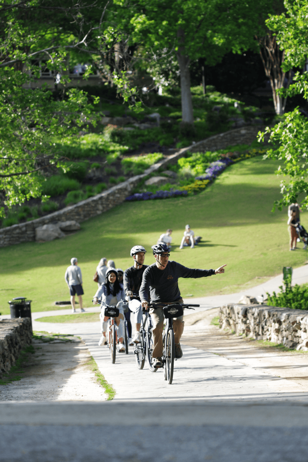 Outdoor biking trail in a lush park for adventure and recreation.