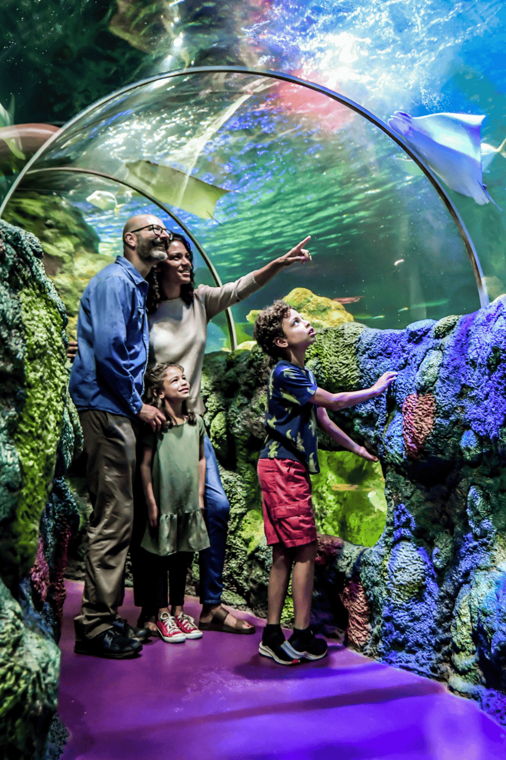 Bright underwater tunnel at Quest for Directions aquarium with family exploring marine life exhibit.