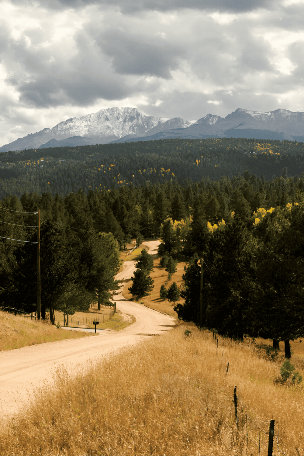 Serene mountain landscape with winding dirt road, lush forests, and snow-capped peaks, perfect for nature travel and outdoor adventure.
