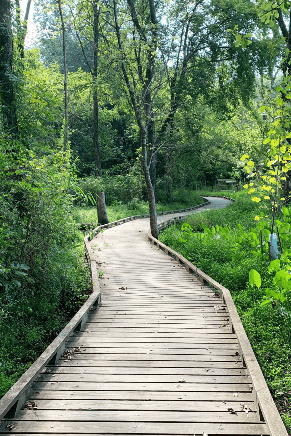 Wooden trail in lush green forest for outdoor navigation and nature walks.