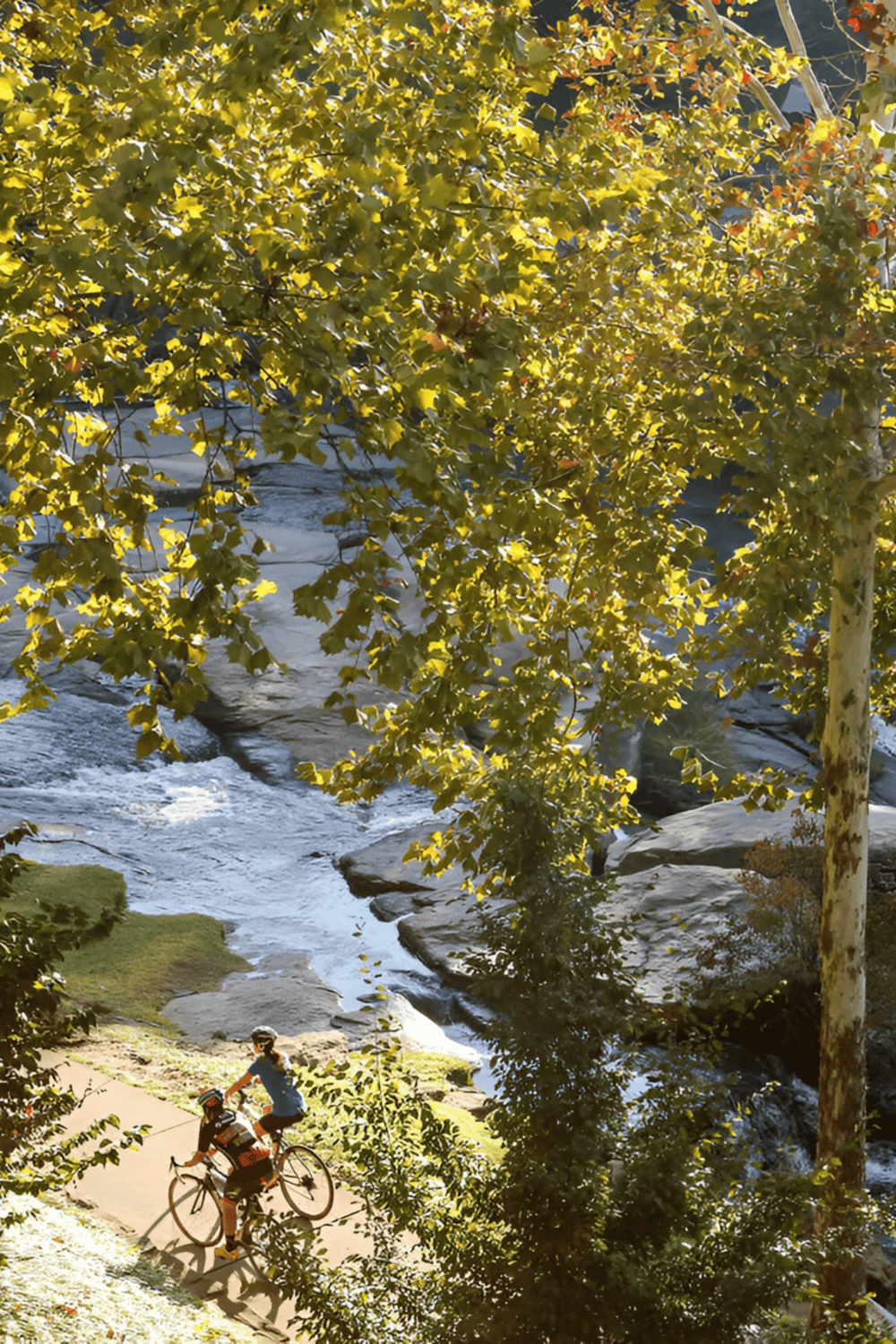 Serene river scene with cyclists, surrounded by lush trees, ideal for outdoor adventure and nature exploration.