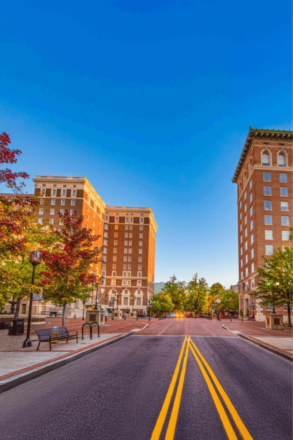 Vibrant city street in downtown with tall historic buildings, colorful trees, and clear blue sky.