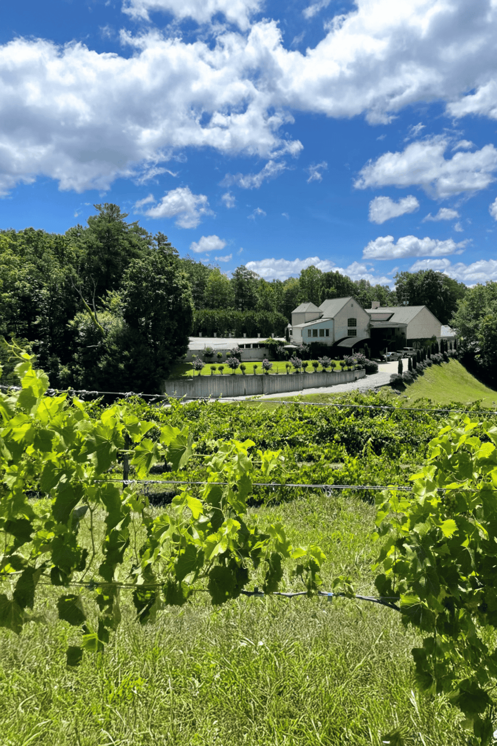 Vineyard with scenic house and lush greenery under blue sky with clouds, perfect for wine tasting tours.