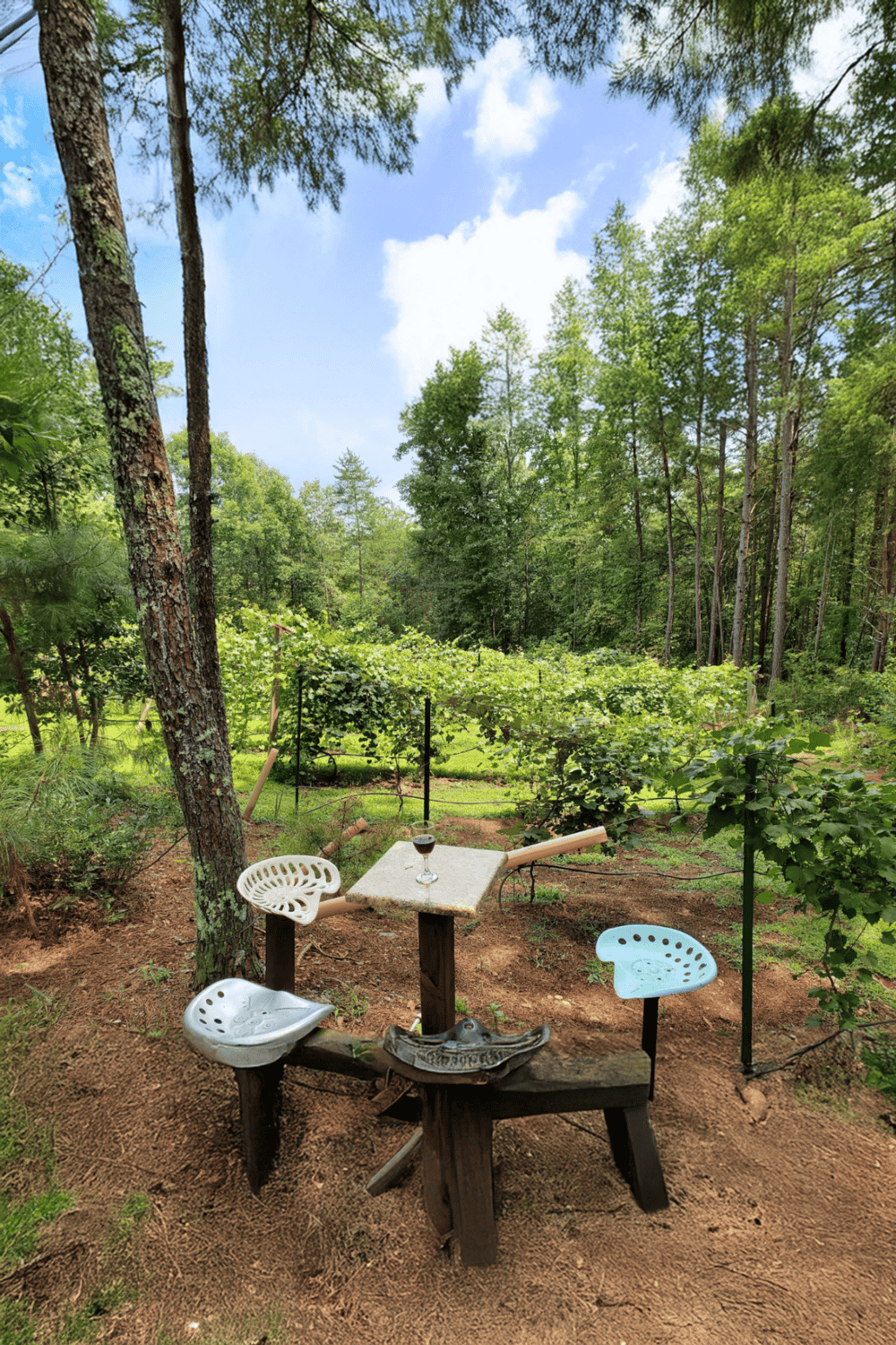 Secluded outdoor vineyard seating area with a scenic forest view and wine glass.
