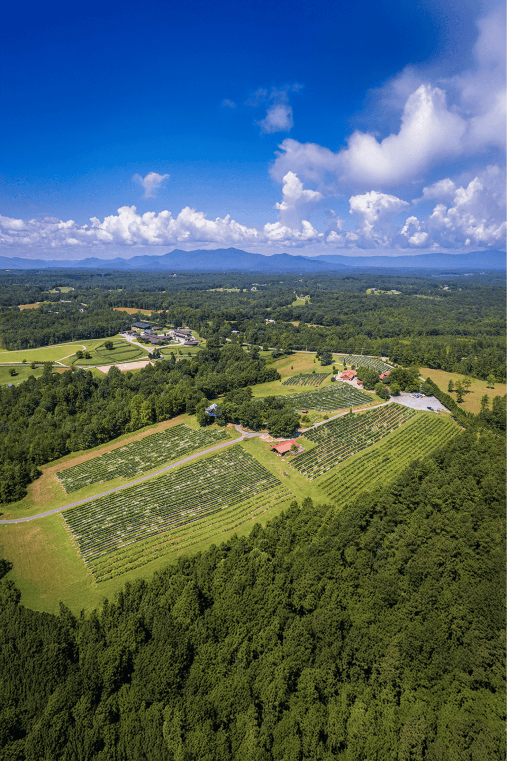 Vineyard landscape with rolling hills, mountains, and scenic countryside, perfect for exploring nature and wine tours.