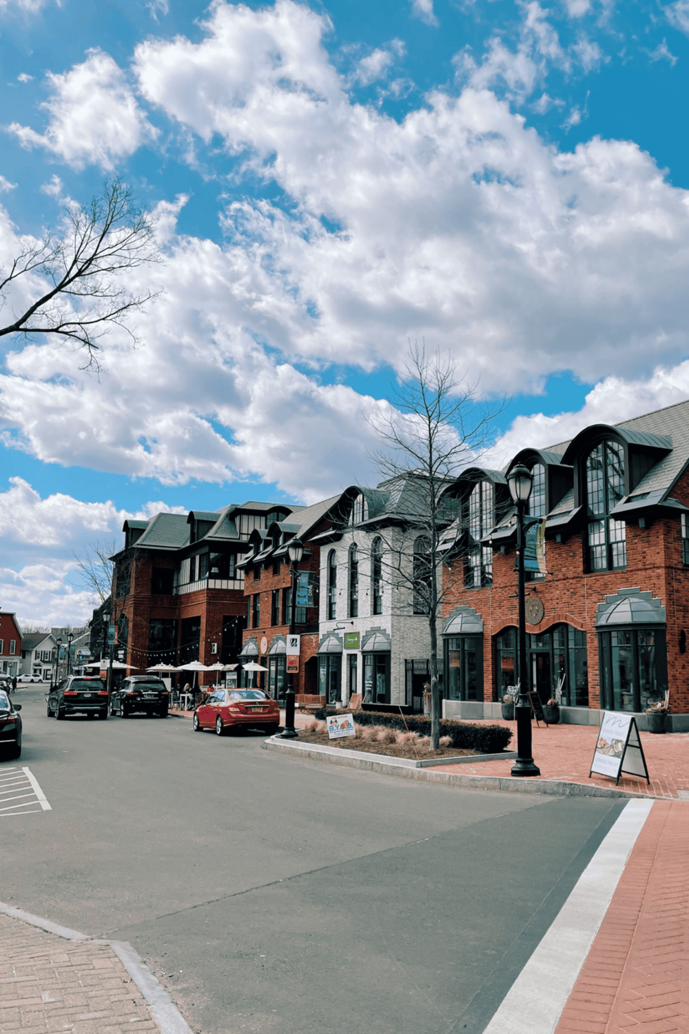 Charming downtown shopping and dining district with vibrant storefronts and blue sky.