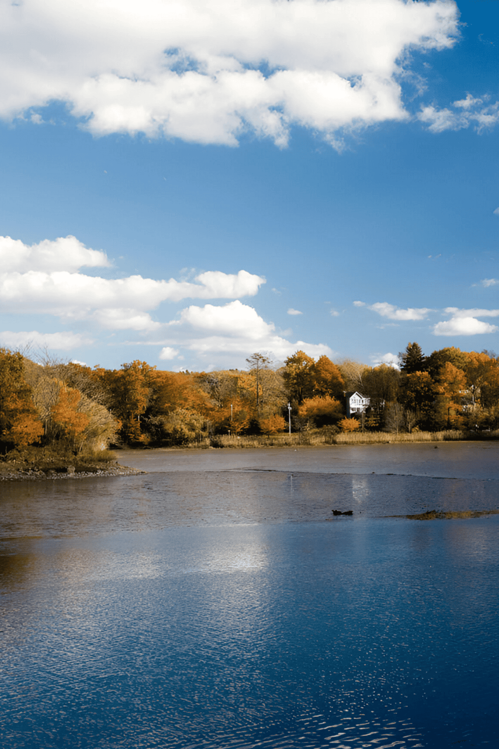 Scenic autumn lake with colorful trees and blue sky, perfect for outdoor adventure and navigation.