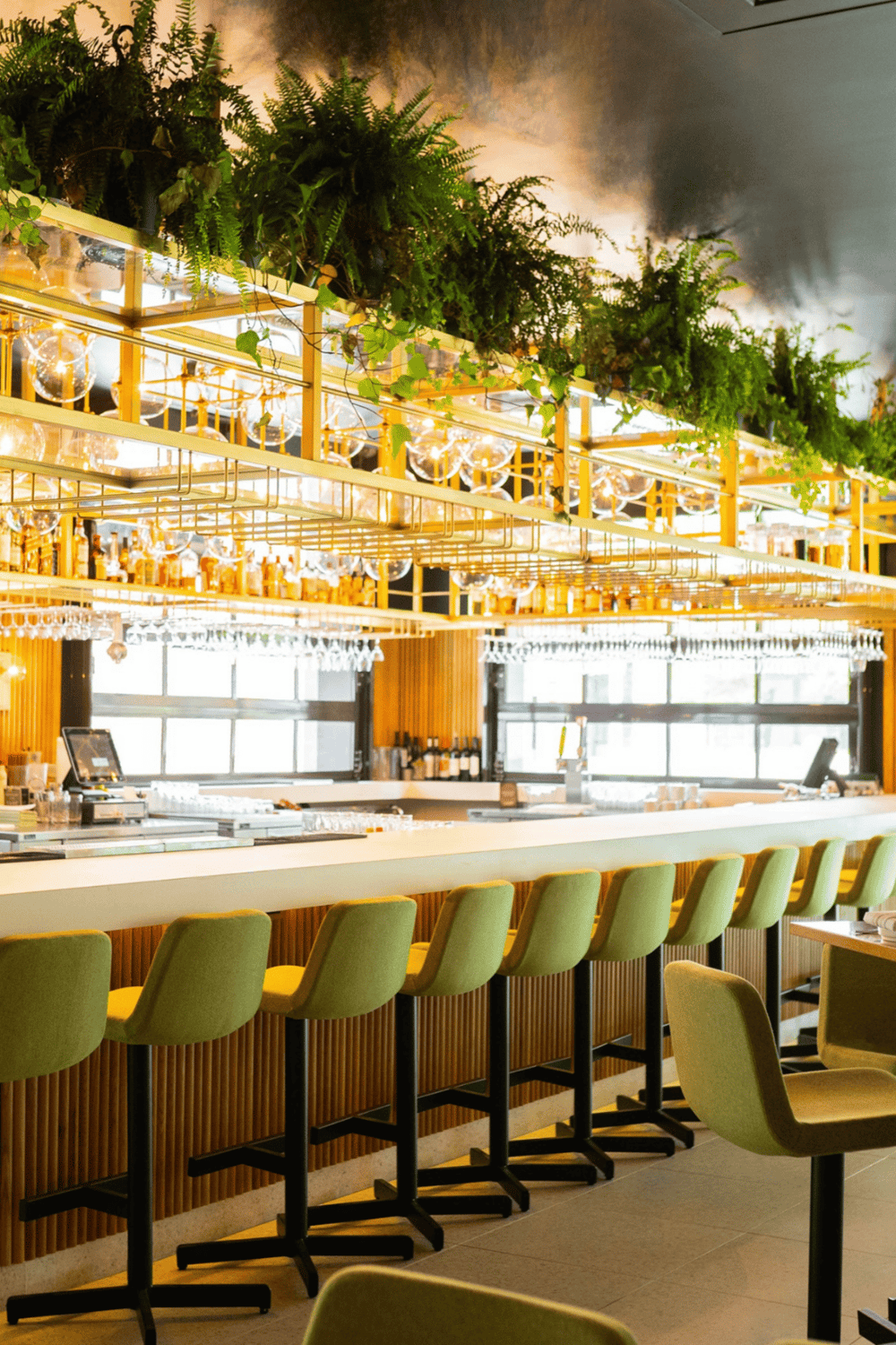 Modern bar interior with greenery and ambient lighting, perfect for dining and socializing.