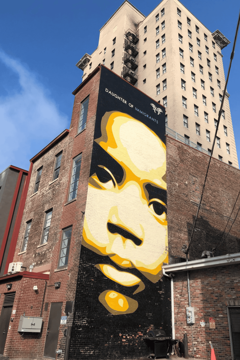 Huge mural of a woman's face with sunglasses and a pipe, promoting immigrant daughter awareness in downtown.