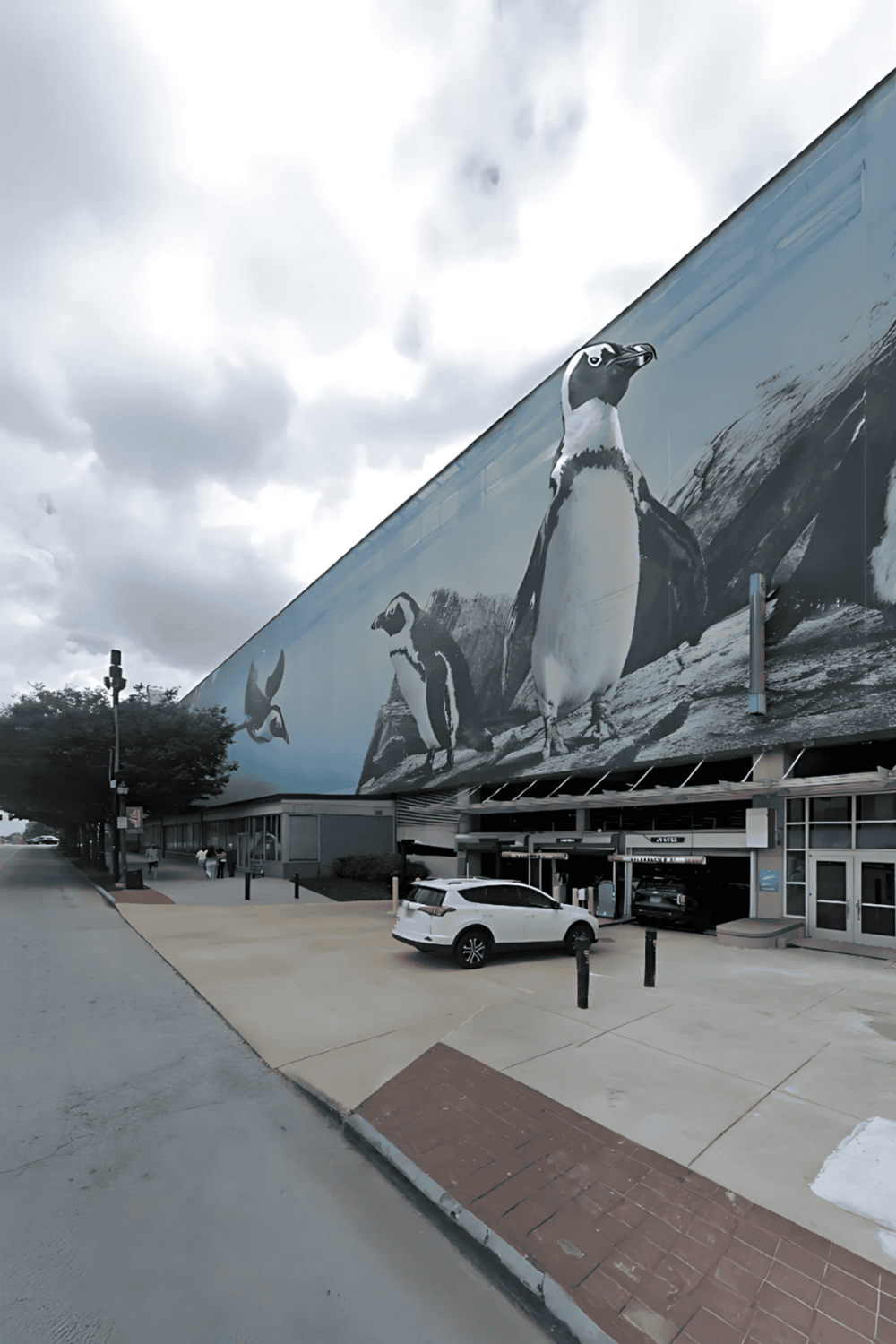 Penguin mural on building exterior, outdoor urban scene with vehicles and cloudy sky.