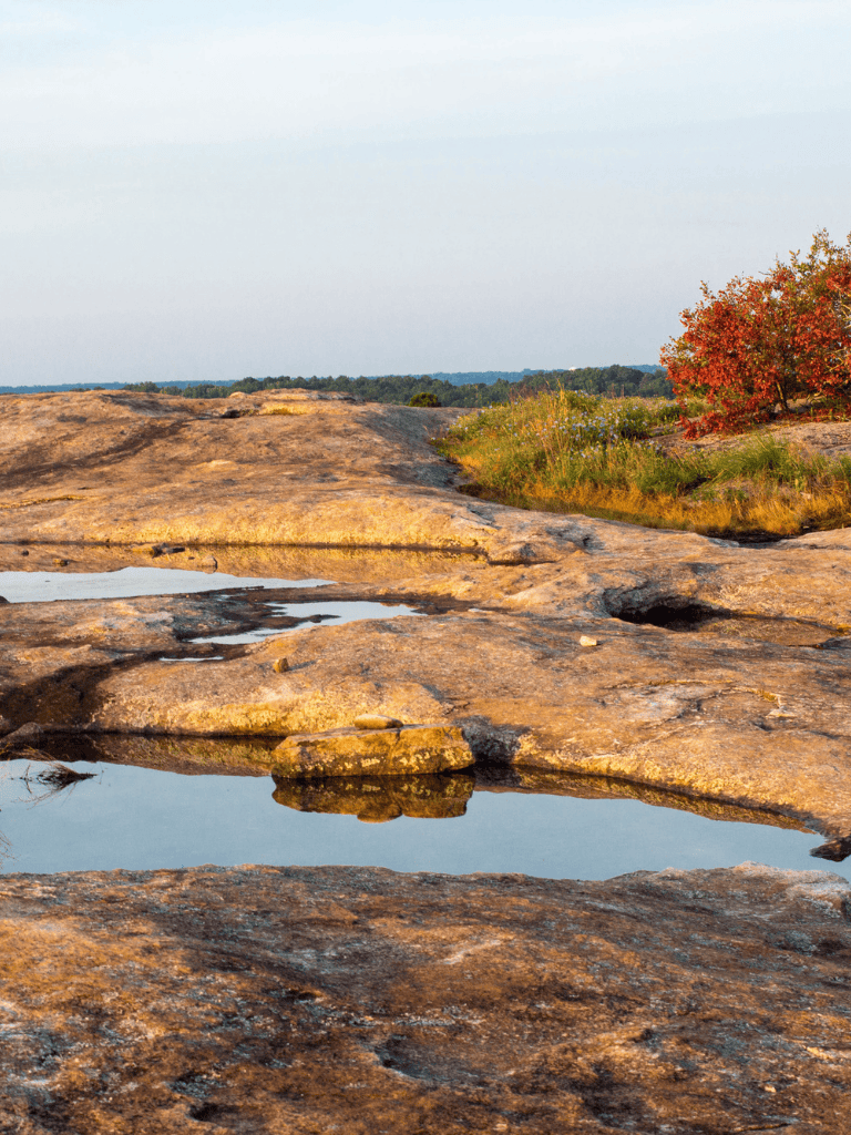 Serene rocky landscape with water pools and autumn trees, perfect for outdoor exploration and hiking.