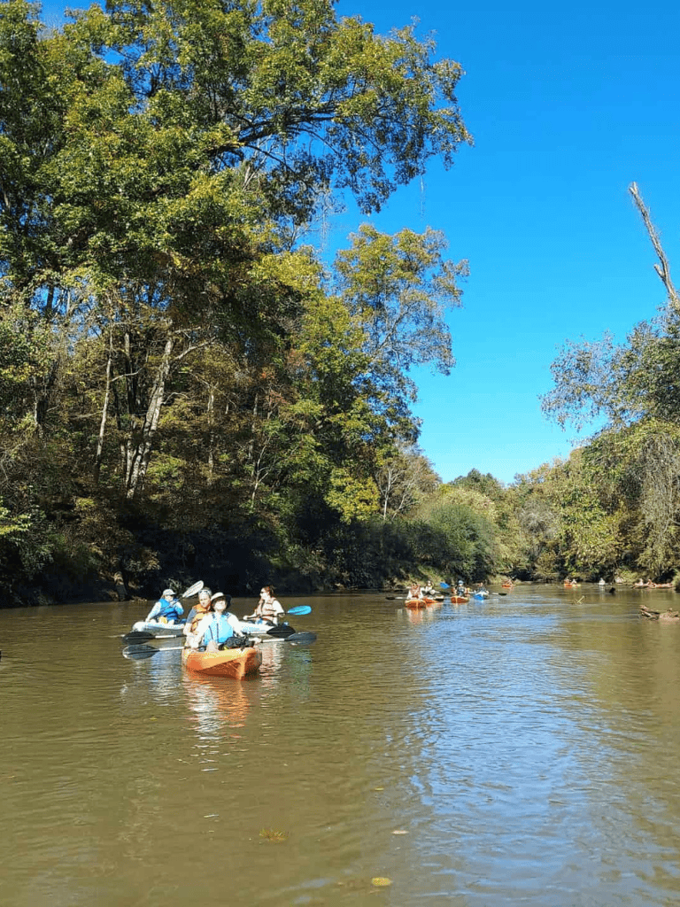 Serene kayaking on a calm river surrounded by lush green trees on a sunny day.