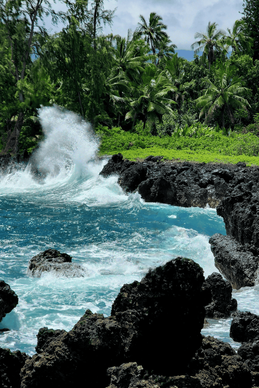 Vivid tropical coastline with crashing waves, lush green palm trees, and volcanic rocks, perfect for tropical adventure travel.