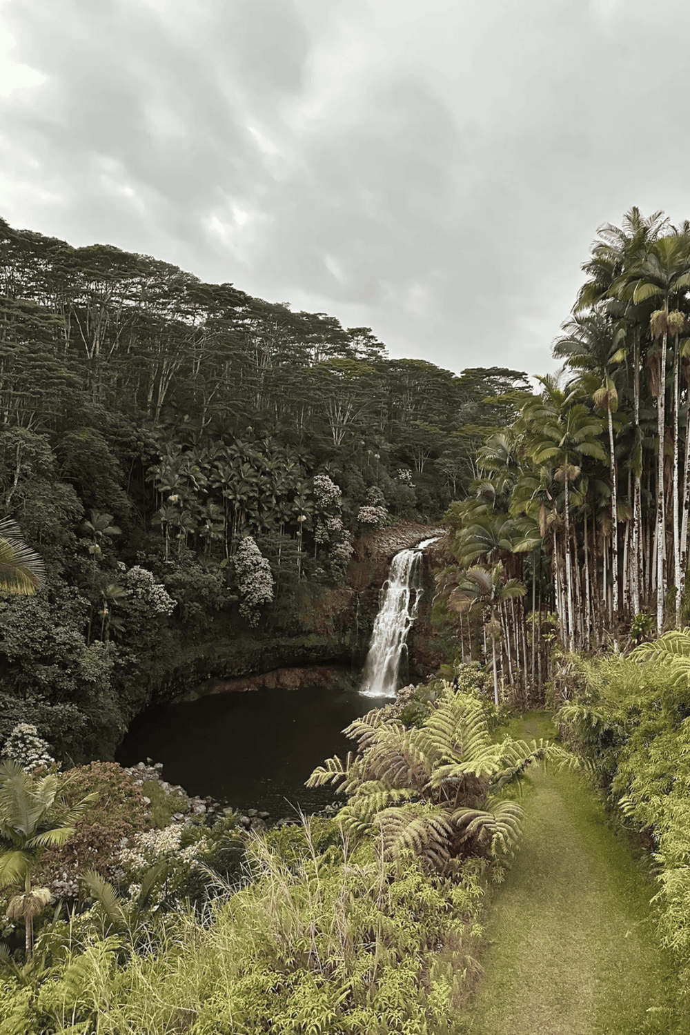 Lush tropical landscape with waterfall and river, perfect for nature and travel enthusiasts.