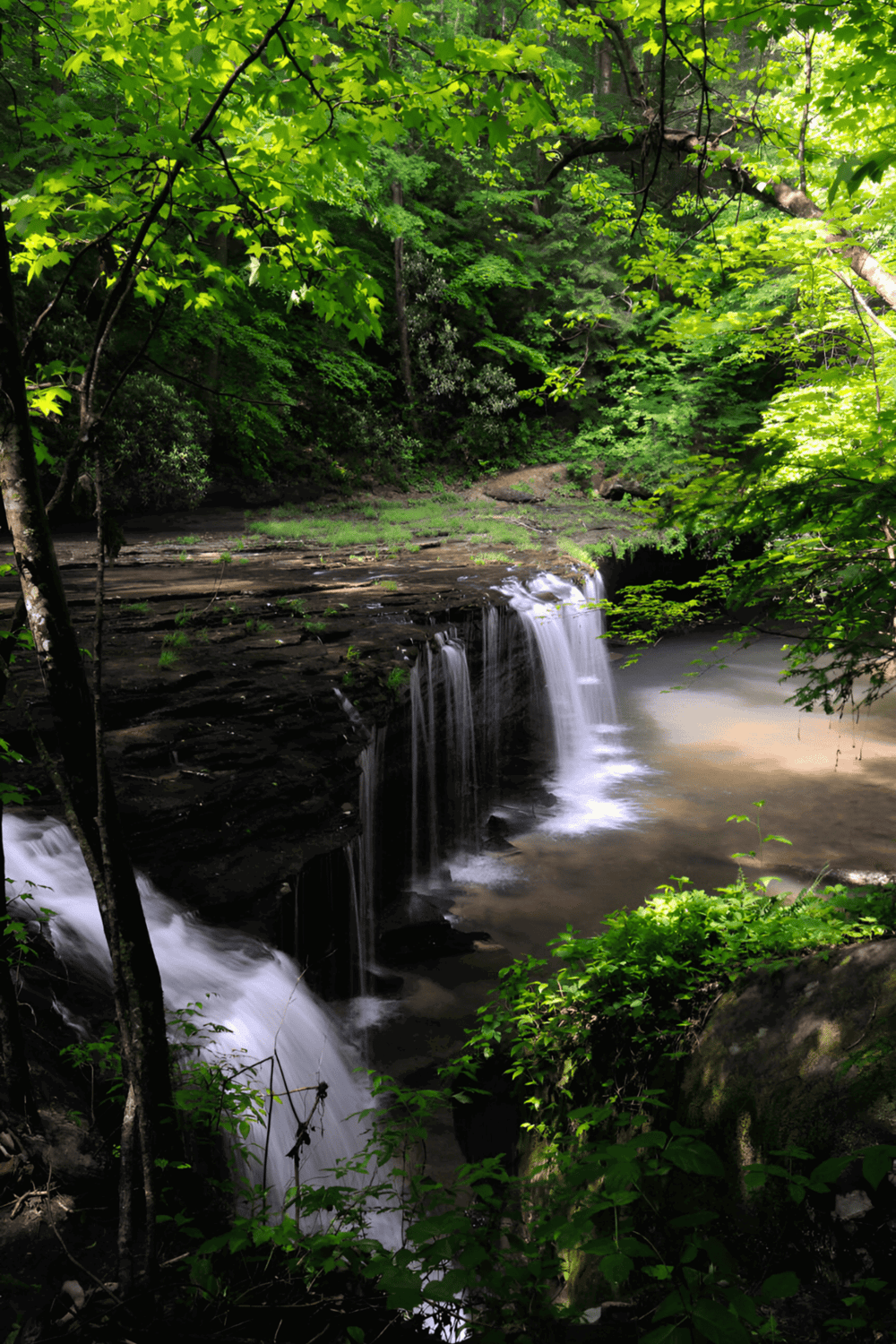 Tranquil waterfall surrounded by lush green trees in a serene forest scene.