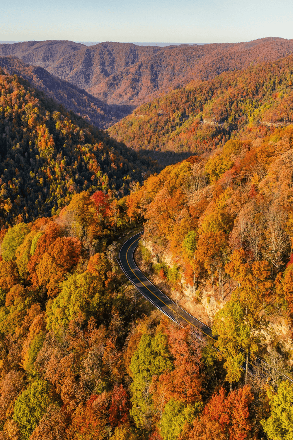 Colorful mountain fall foliage road trip scenery.
