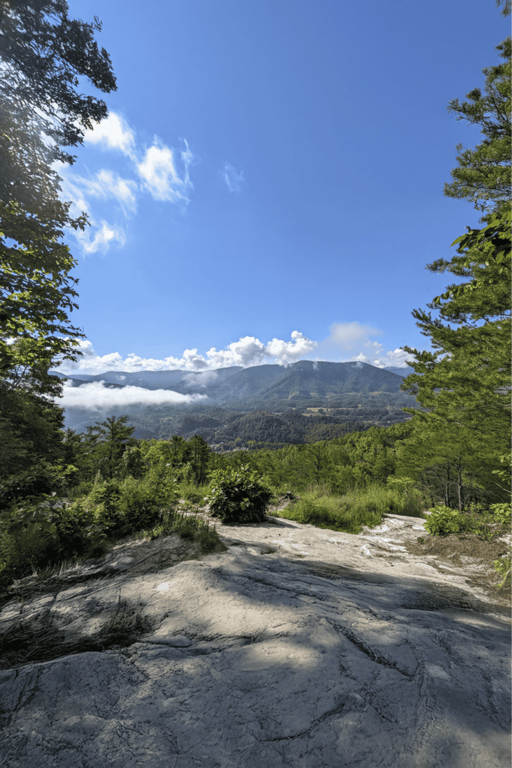 Tranquil mountain landscape with lush green trees, rocky trail, and a clear blue sky at QuestForDirections.