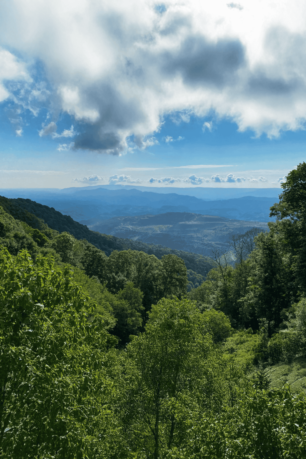 Vast mountain landscape with lush green trees under a partly cloudy sky, scenic outdoor wilderness view.