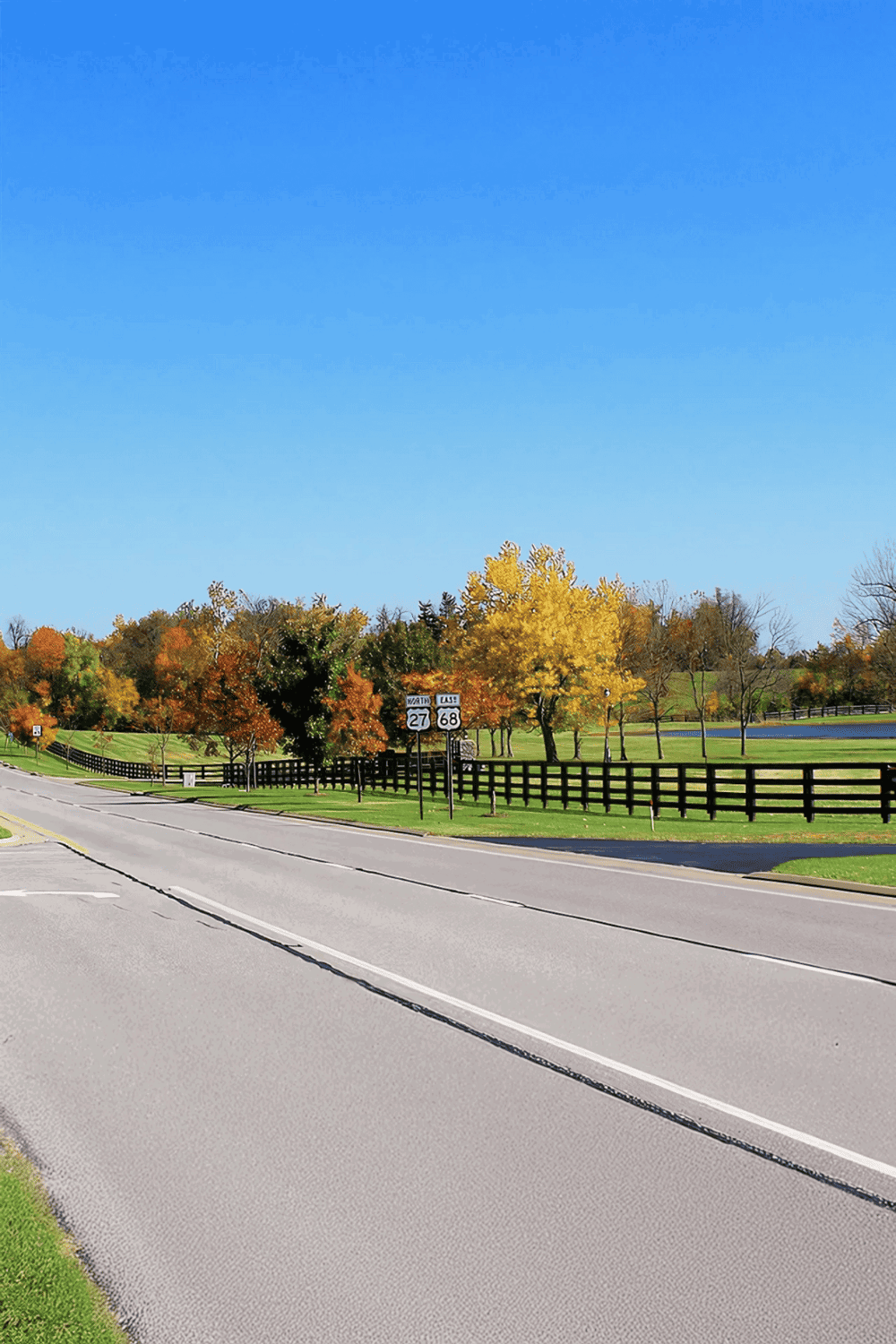 Quiet suburban road with autumn trees and clear blue sky, perfect for scenic drives and travel planning.