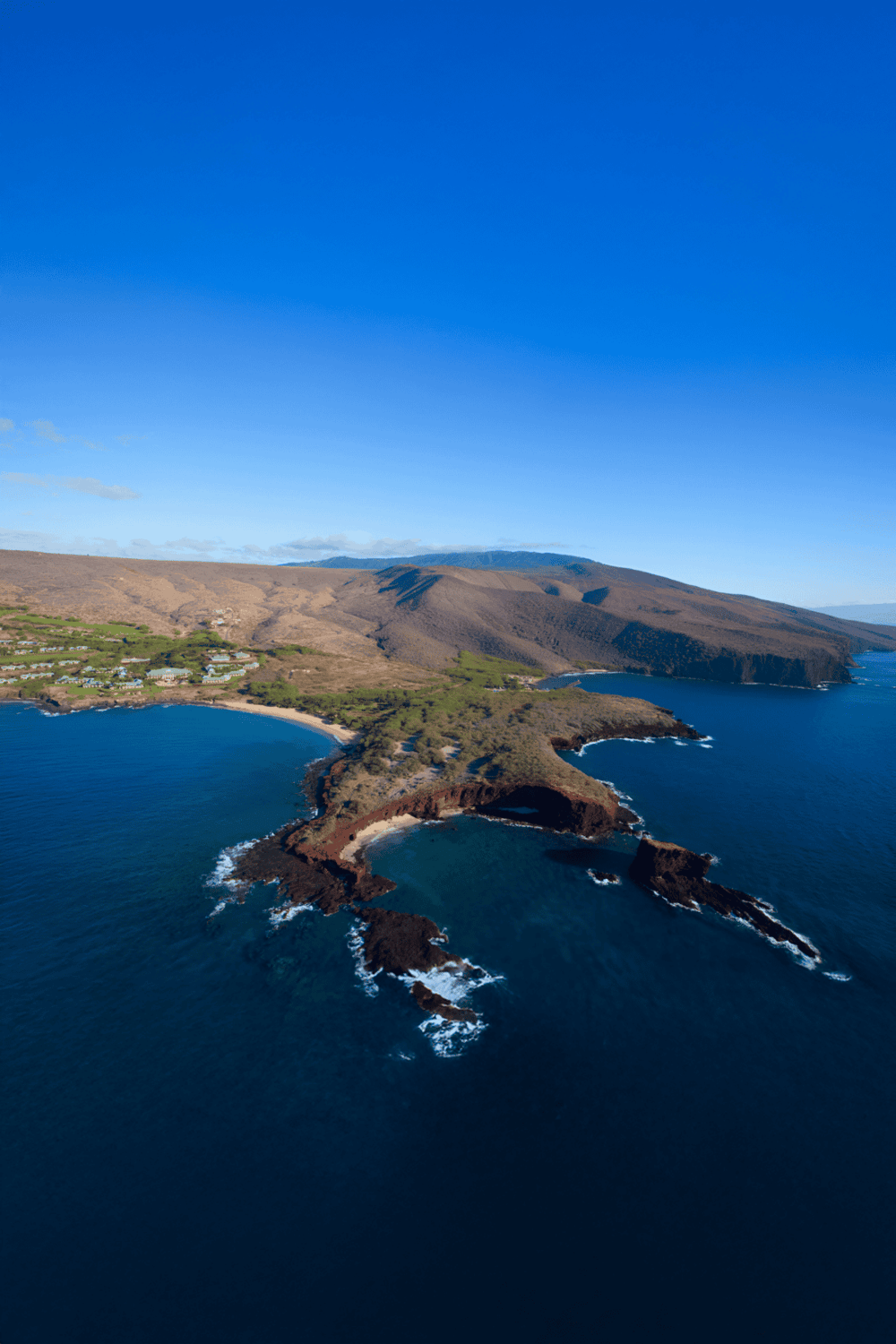 Seaside cliffs and ocean view in Hawaii with lush green landscape and clear blue sky.