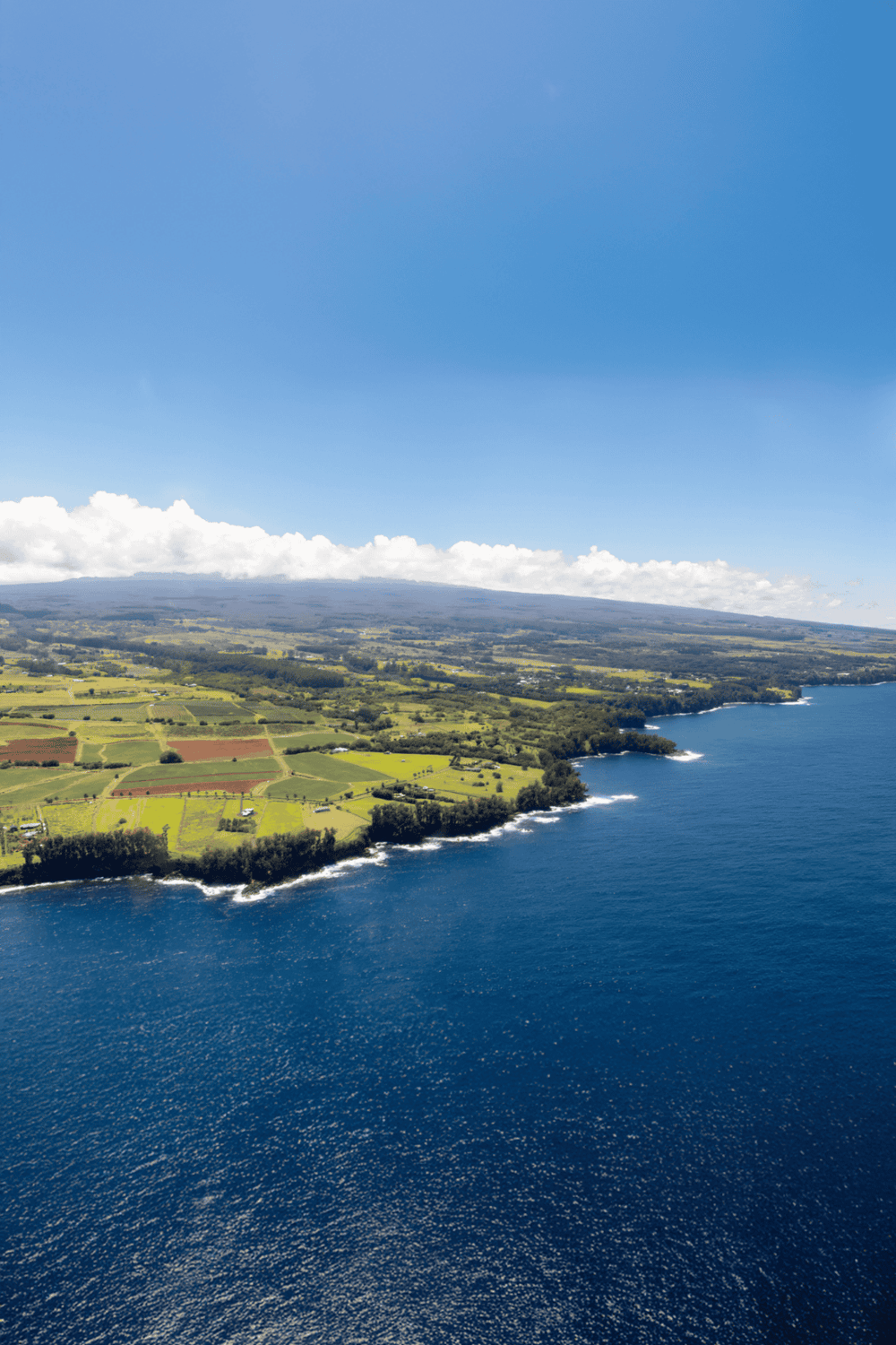 Aerial view of lush green coastline and ocean under a bright blue sky with scattered clouds.