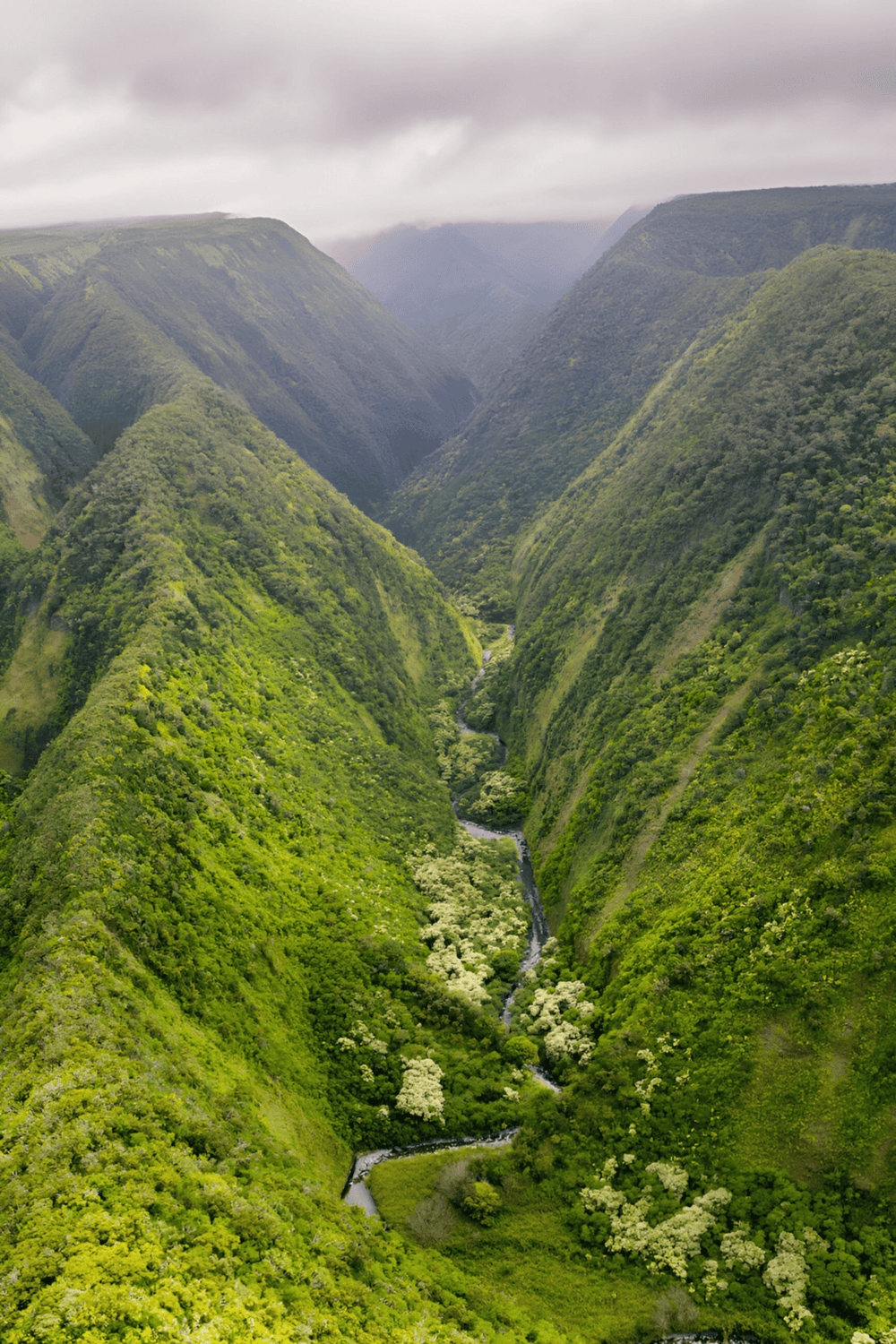 Lush green canyon with river and waterfall, scenic hiking destination, tropical rainforest scenery.