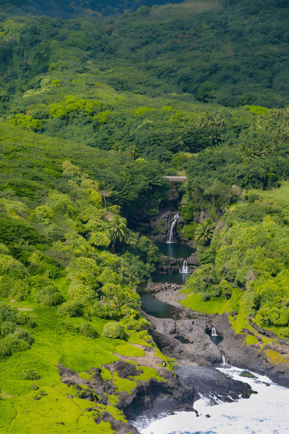 Lush green rainforests and waterfalls in Hawaii, perfect for nature exploration and adventure trips.