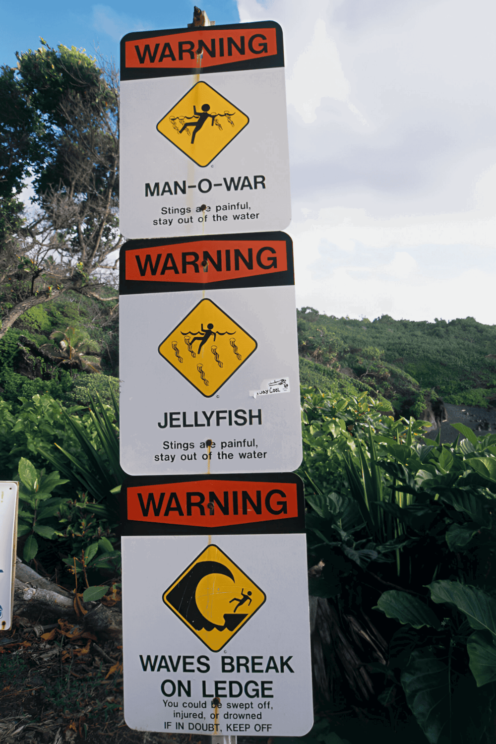 Warning sign about man-o-war, jellyfish, and waves break on ledge at beach warning.