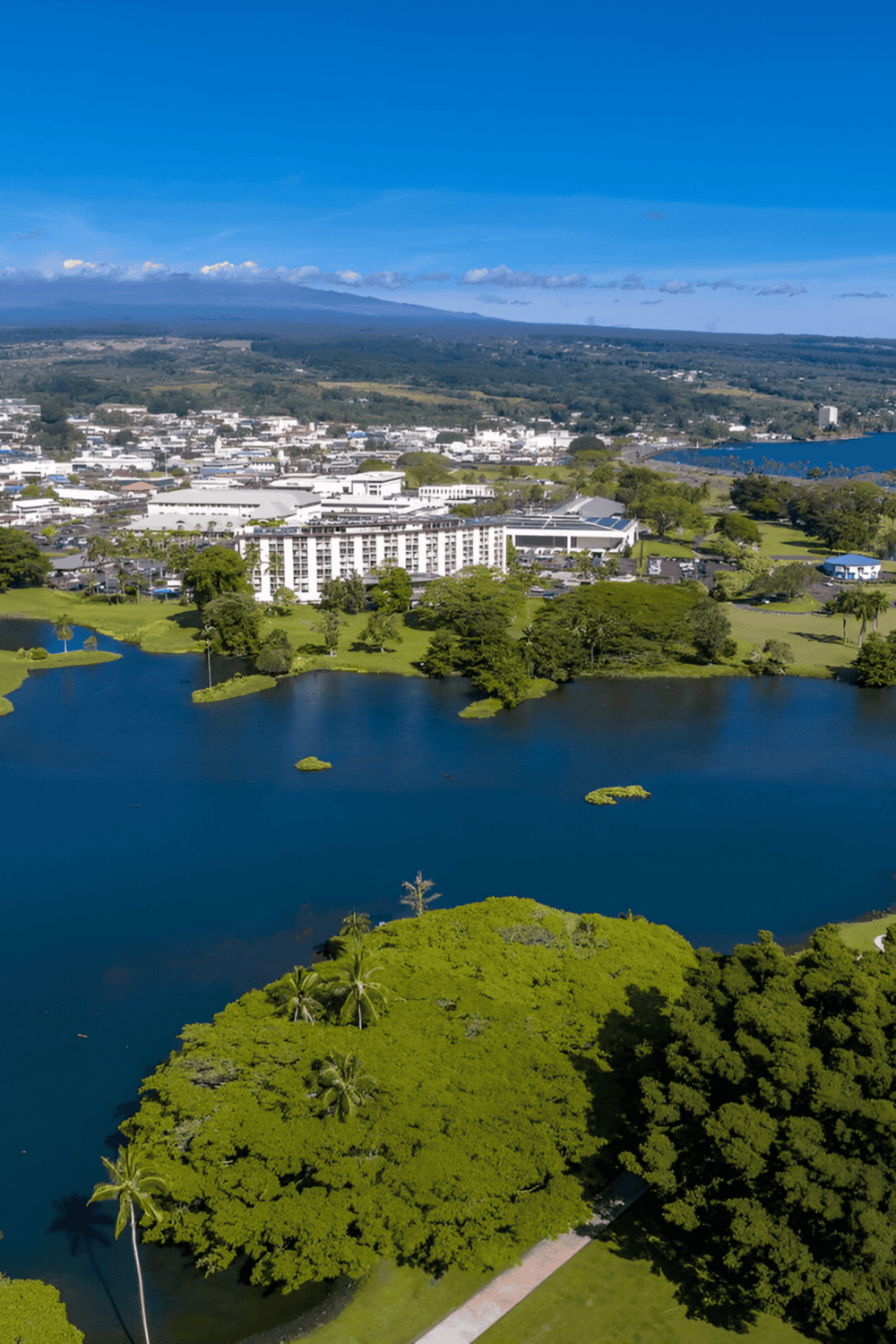 Lush green park with water features and scenic city view, perfect for outdoor recreation and relaxation.