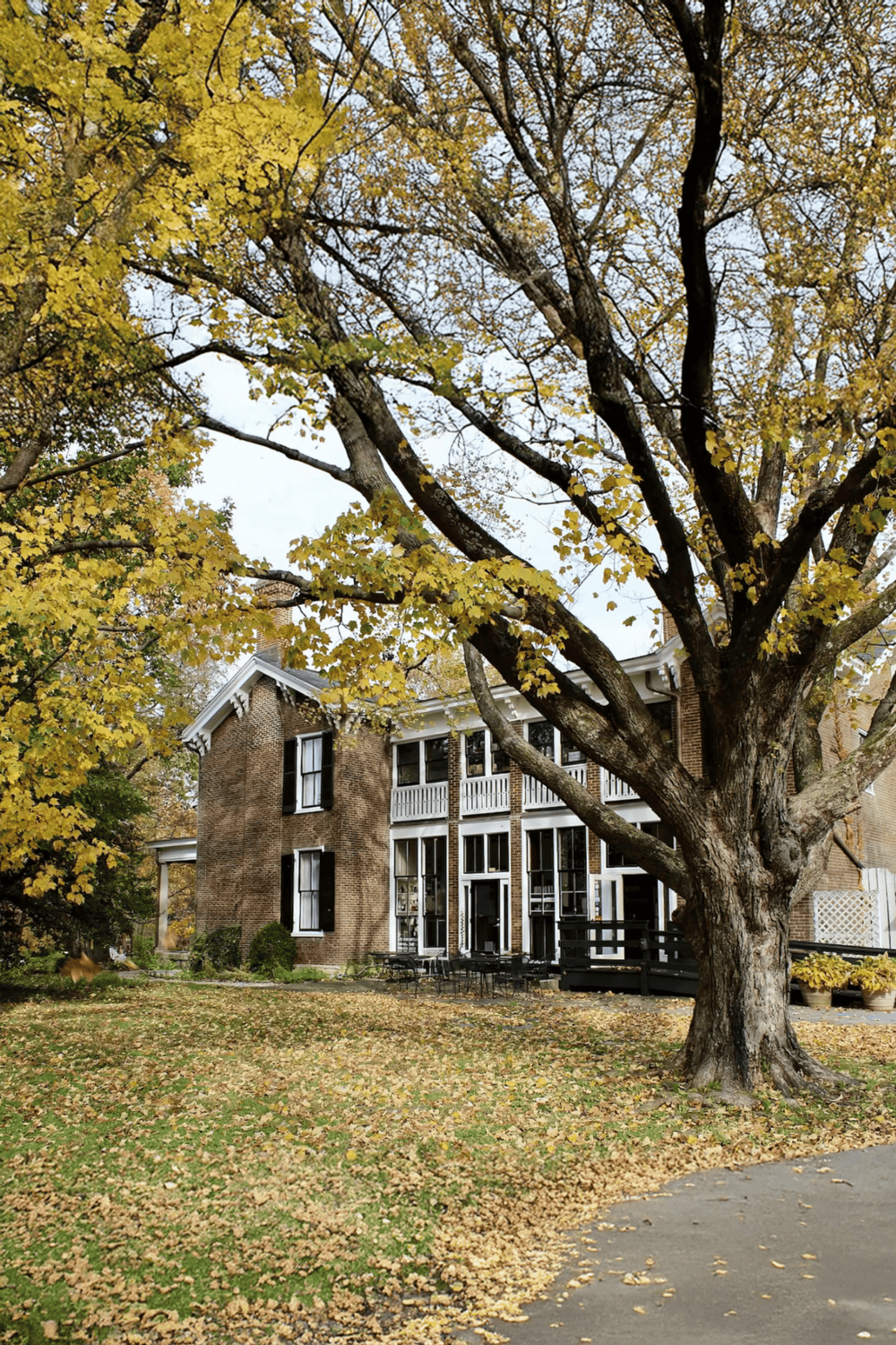Autumn house with large tree, fall foliage, outdoor patio, brick architecture, scenic neighborhood.