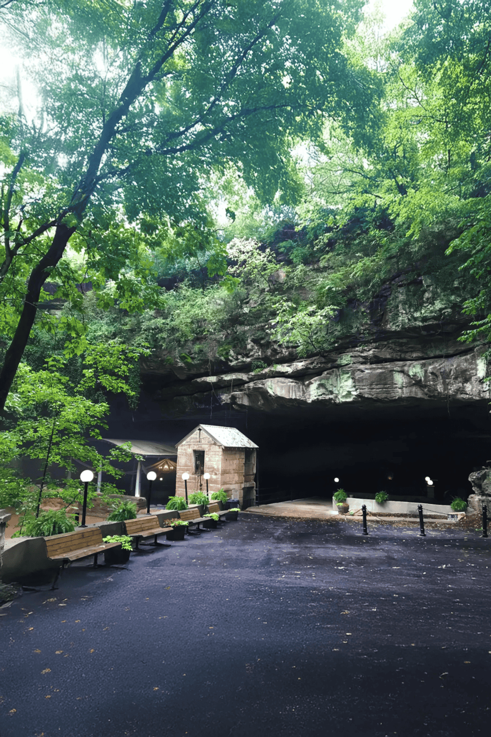Hidden cave entrance in lush forest with benches and pathway for outdoor adventure.