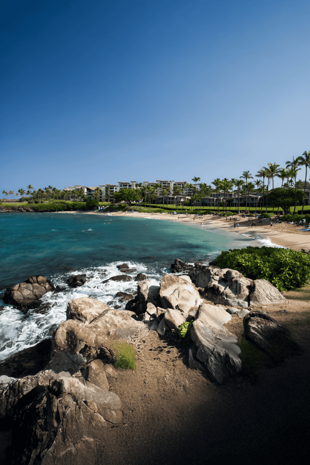 Luxury beachfront resort with ocean view and palm trees, ideal for vacations and relaxation.